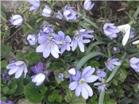 7f85270f-Picture 009.jpg